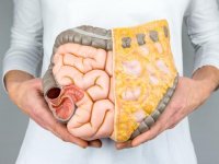 Симптомы и лечение острого энтерита у взрослых людей