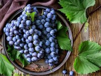 Можно ли виноград при панкреатите?