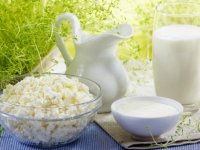 Можно ли есть молочные продукты при панкреатите — творог, сыр, сметану?