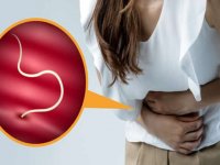 Каковы симптомы и способы лечения аскаридоза у взрослых?