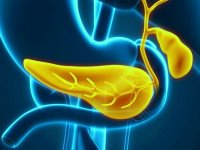 Характерные симптомы и лечение кисты поджелудочной железы