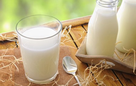Можно ли употреблять молочные продукты при гастрите с повышенной кислотностью?