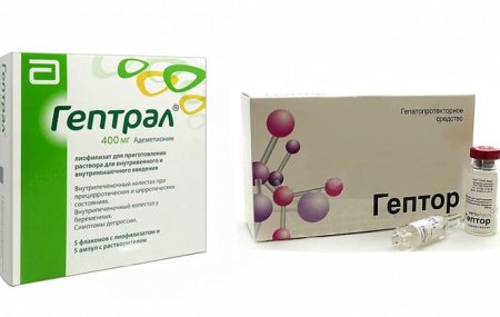 Гептор и Гептрал: что лучше?